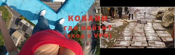 дмт Алзамай