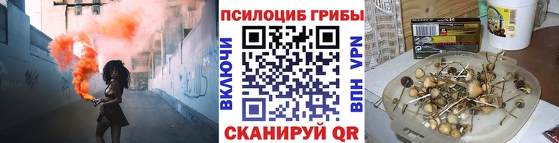 KRAKEN tor  Жуков  Псилоцибиновые грибы прущие грибы 